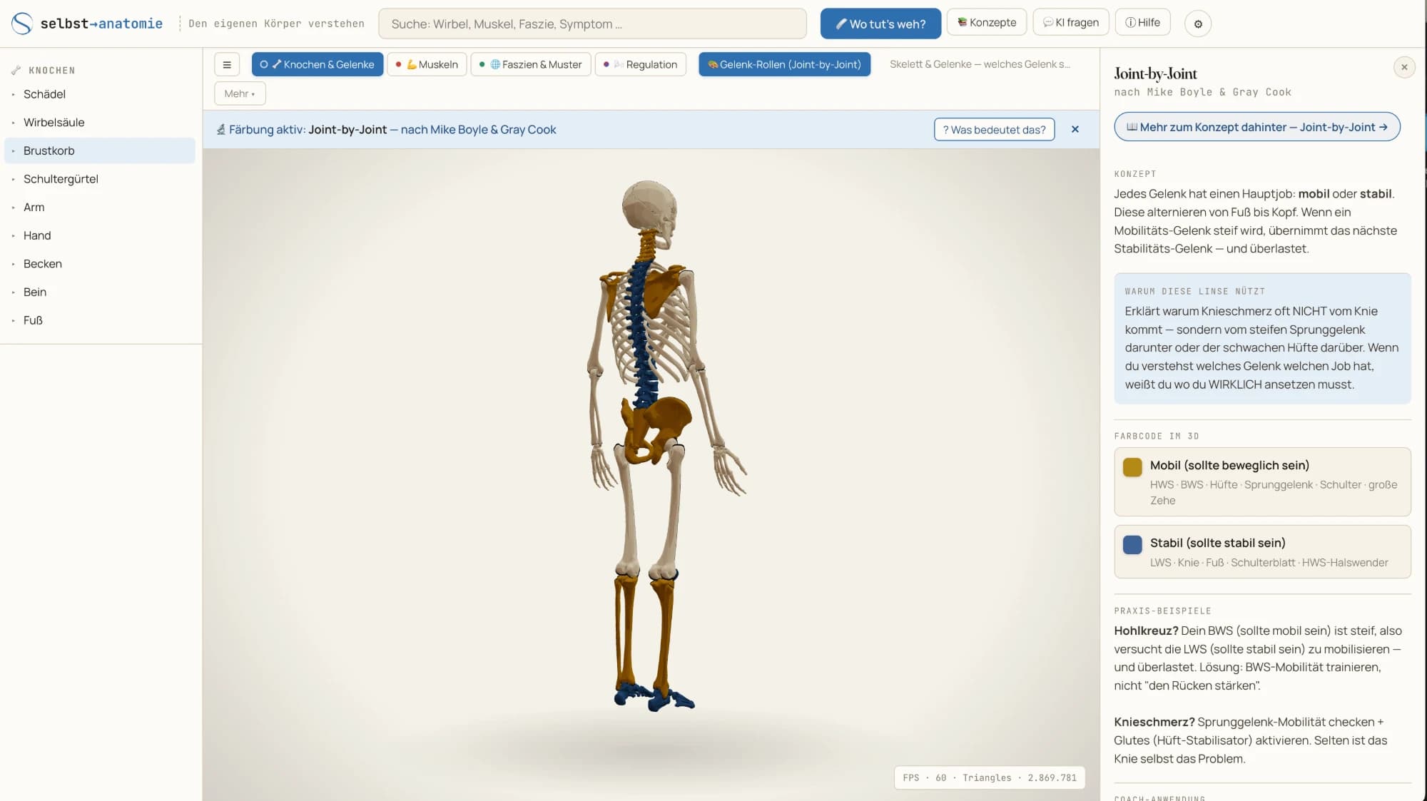 3D-Anatomie-Atlas
